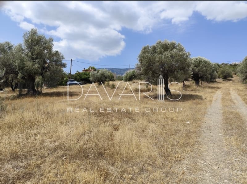 Οικόπεδο στην Αγία Μαρίνα, Παιανία