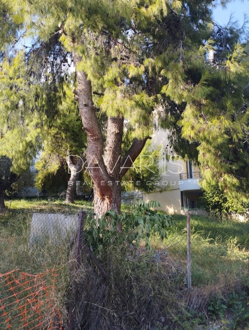 Οικόπεδο στην Φούρεσι, Γλυκά Νερά — Φωτογραφία 6 από 8