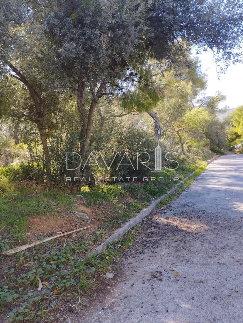 Οικόπεδο στην Άνω Μπαλάνα, Παλλήνη — Φωτογραφία 3 από 4