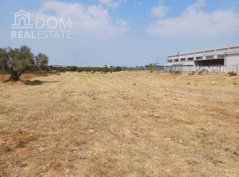 Building Plot in Profarta, Markopoulo — Photo 3 of 4