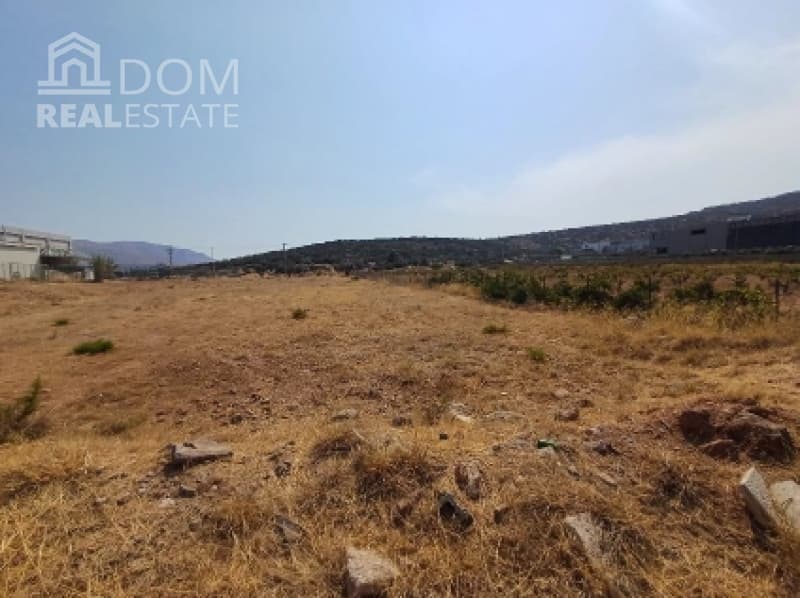 Building Plot in Profarta, Markopoulo — Photo 2 of 4