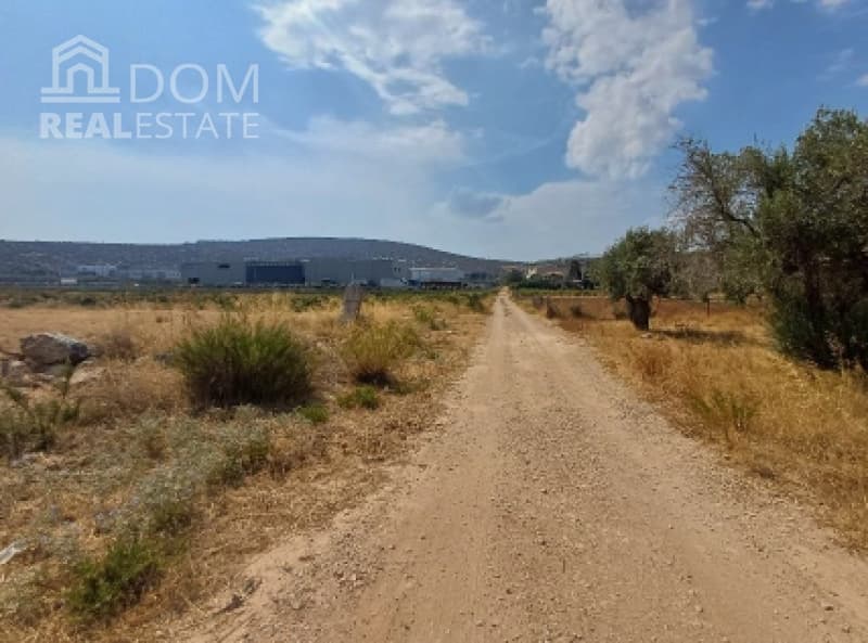 Building Plot in Profarta, Markopoulo — Photo 4 of 4