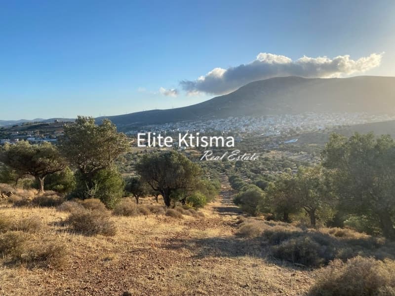 Αγροτεμάχιο στην Ρουντζέρι Λεμπρού, Κερατέα — Φωτογραφία 4 από 4