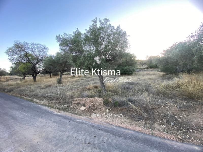Αγροτεμάχιο στην Βένιο Δασκαλειού, Κερατέα — Φωτογραφία 1 από 2