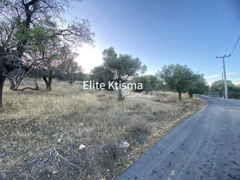 Αγροτεμάχιο στην Βένιο Δασκαλειού, Κερατέα — Φωτογραφία 2 από 2