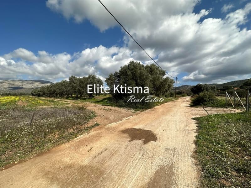 Parcel in Ari, Anavissos — Photo 5 of 5