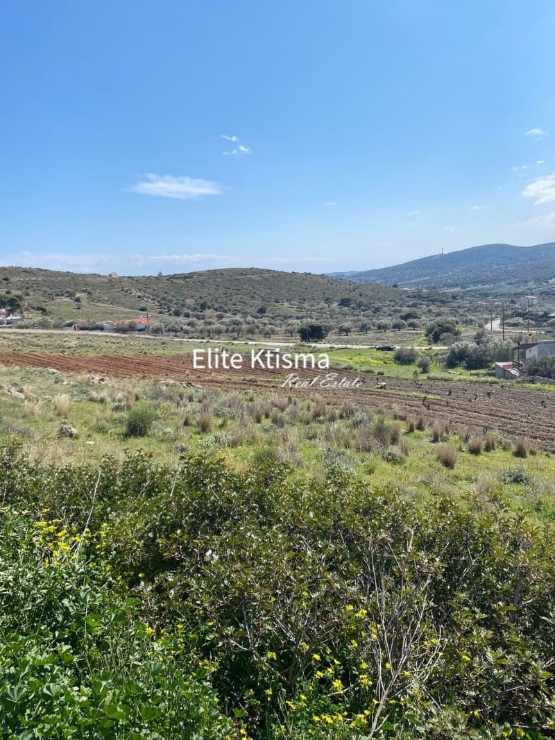 Αγροτεμάχιο στην Πλάκα, Κερατέα — Φωτογραφία 5 από 6