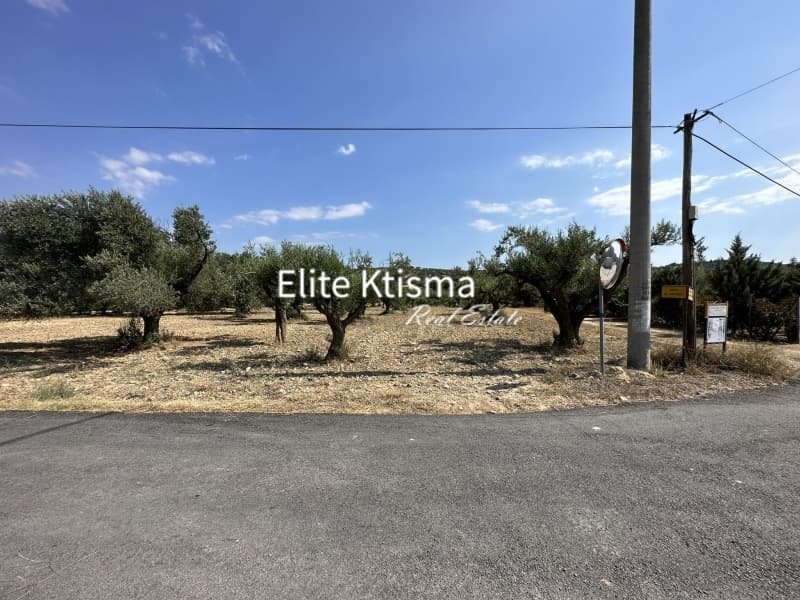 Αγροτεμάχιο στην Βένιο Δασκαλειού, Κερατέα — Φωτογραφία 5 από 5