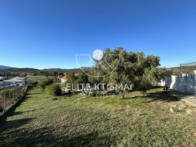 Οικόπεδο στην Ρουντζέρι Λεμπρού, Κερατέα — Φωτογραφία 4 από 11