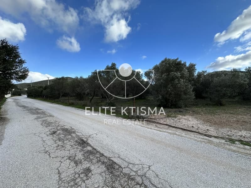 Parcel in ATE, Anavissos — Photo 5 of 6