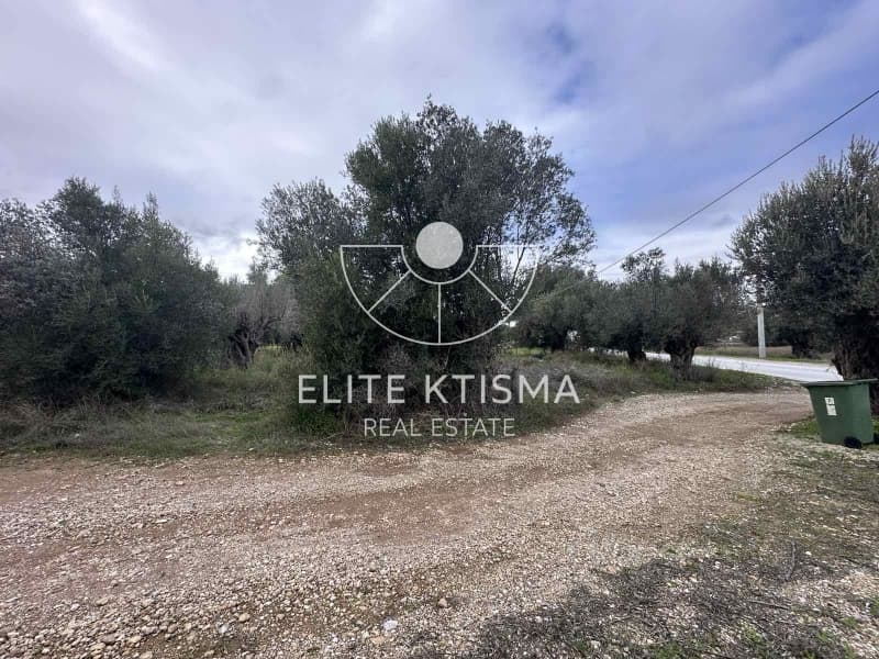 Building Plot in Venio Daskaleiou, Keratea — Photo 3 of 5