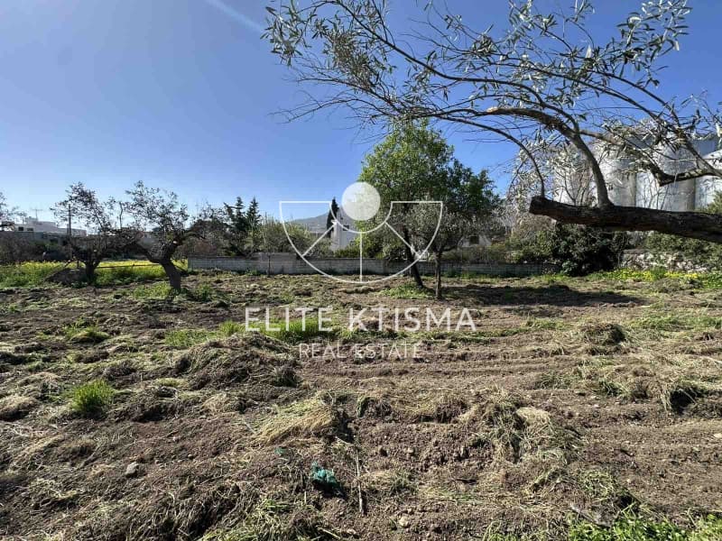 Building Plot in Venio Daskaleiou, Keratea — Photo 8 of 11