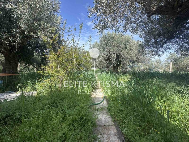 Μονοκατοικία στην Βένιο Δασκαλειού, Κερατέα — Φωτογραφία 5 από 18
