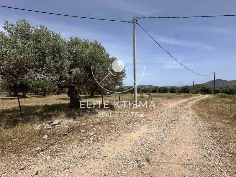 Building Plot in Venio Daskaleiou, Keratea — Photo 7 of 8