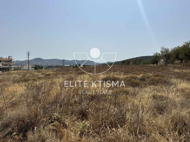 Building Plot in Venio Daskaleiou, Keratea — Photo 3 of 3