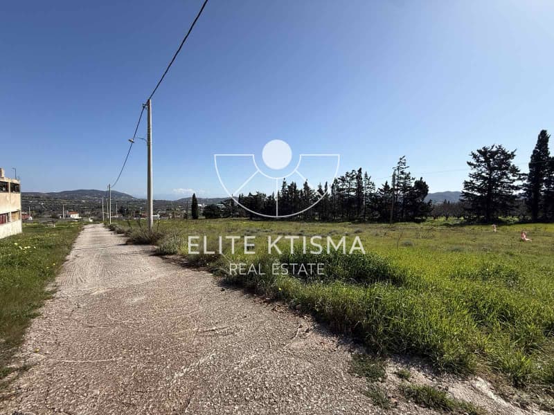 Building Plot in Venio Daskaleiou, Keratea — Photo 4 of 4