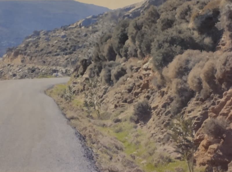 Οικόπεδο στην Βιτάλι, Άνδρος — Φωτογραφία 2 από 5