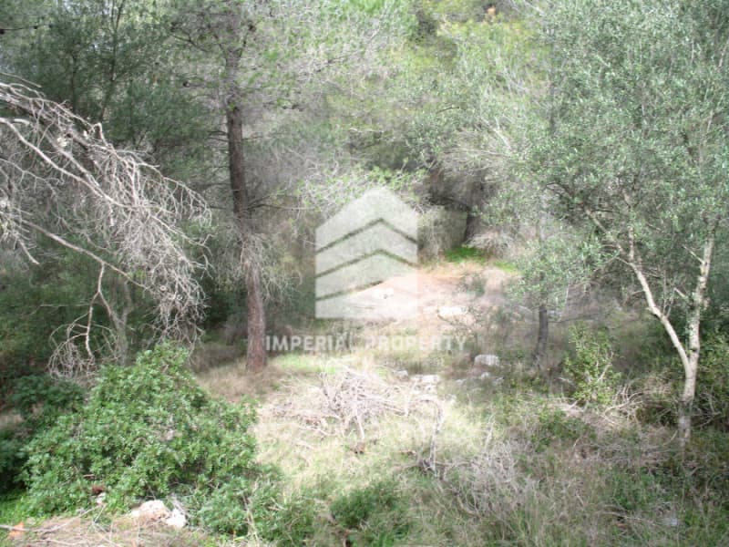 Μονοκατοικία στην Σιδερώνα, Σαρωνικός — Φωτογραφία 23 από 30