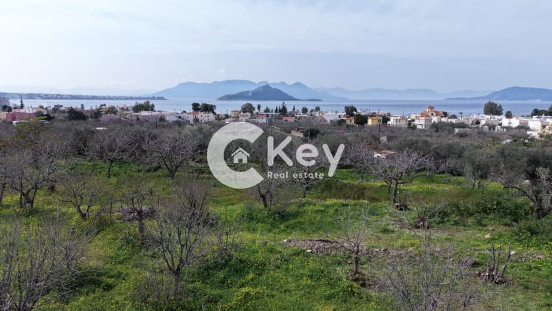 Οικόπεδο στην Μαραθώνας, Αίγινα — Φωτογραφία 2 από 7