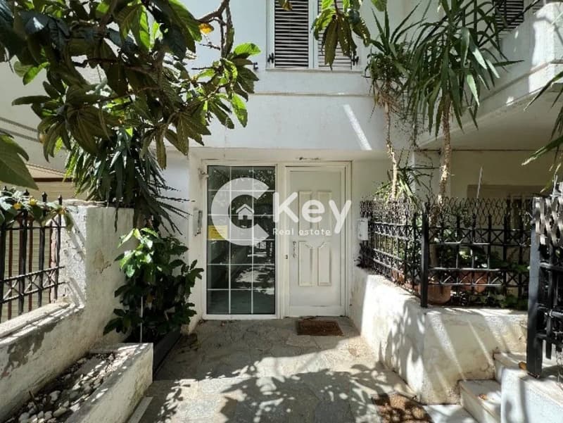 Μονοκατοικία στην Πανεπιστημιούπολη, Ζωγράφου — Φωτογραφία 26 από 26
