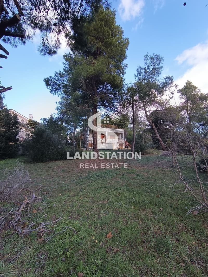 Building Plot in Agia Paraksevi, Anoixi — Photo 10 of 10
