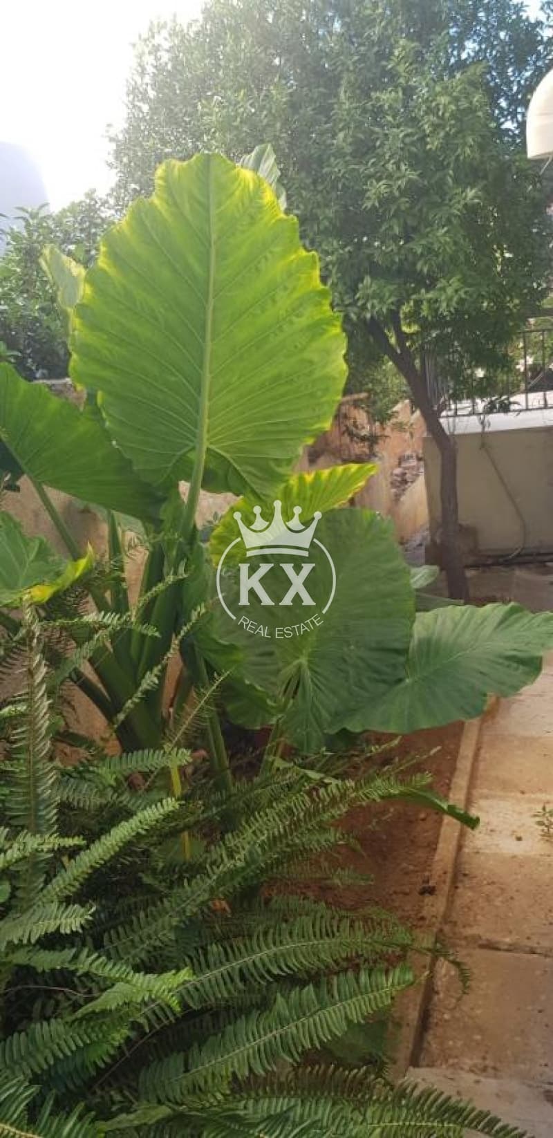 Διαμέρισμα στην Ευκάλυπτοι - Άνω Φάρος, Παλαιό Ψυχικό — Φωτογραφία 5 από 28