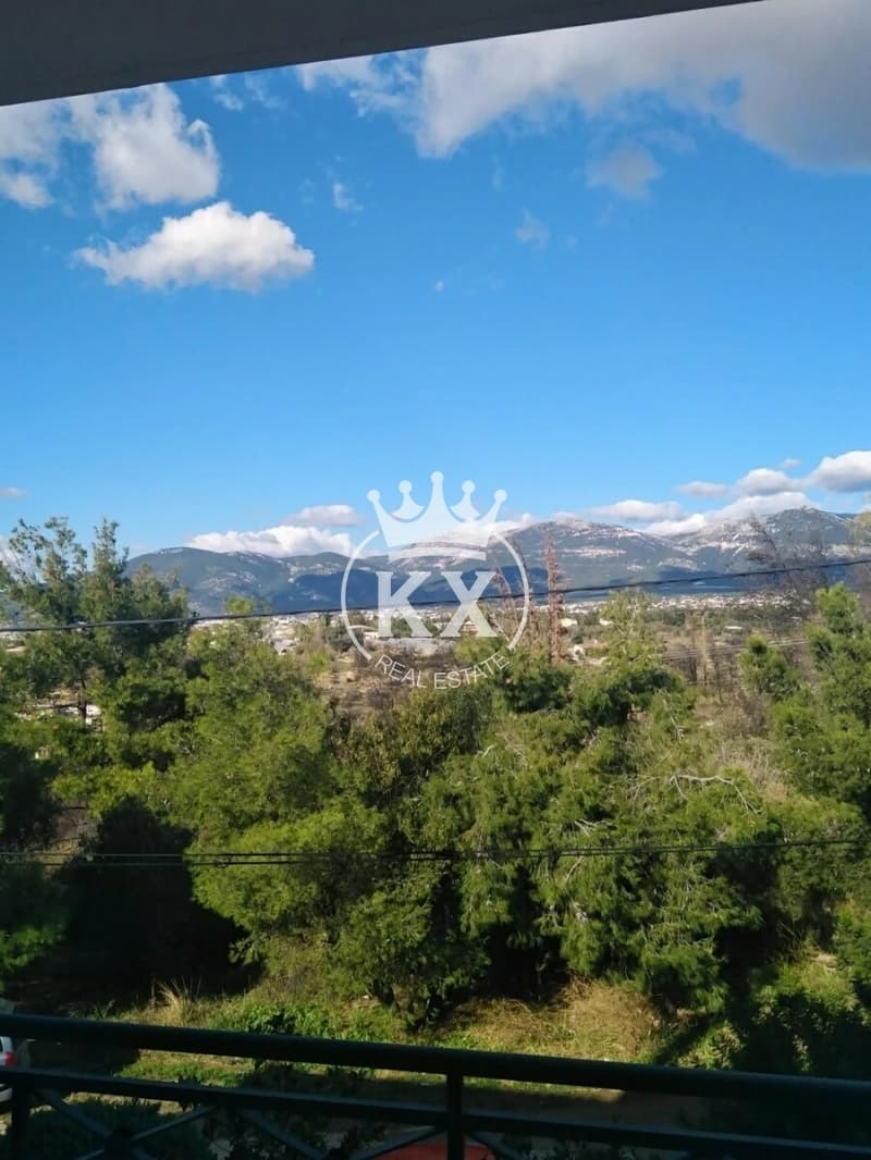 Μονοκατοικία στην Αδάμες (Οικισμός Γράμμος - Φοίνικας), Κηφισιά — Φωτογραφία 10 από 21