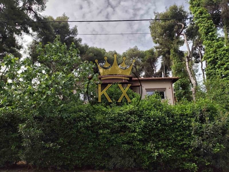 House in Agioi Aggeloi, Anoixi — Photo 2 of 30