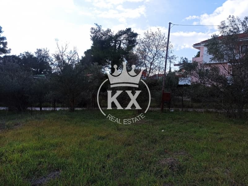 Οικόπεδο στην Δάσος Κουρεμένου, Άγιος Στέφανος — Φωτογραφία 7 από 7