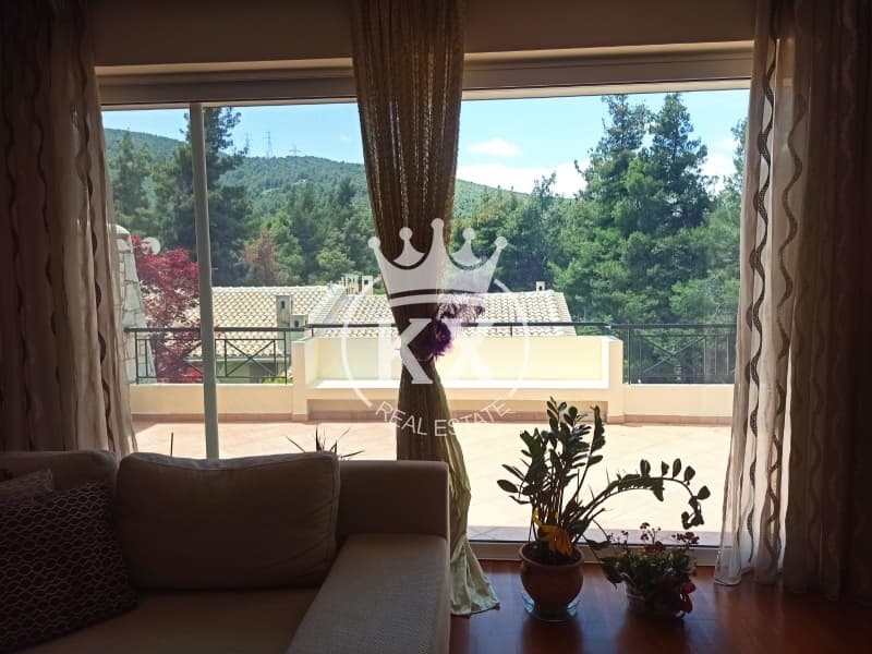 Μονοκατοικία στην Δροσιά, Δροσιά — Φωτογραφία 1 από 29
