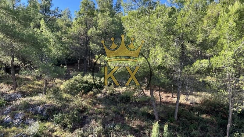 Διαμέρισμα στην Δροσιά, Δροσιά — Φωτογραφία 16 από 22
