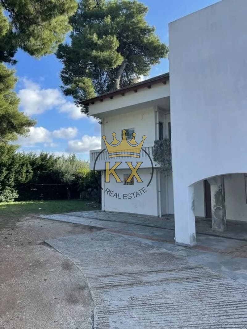 Apartment in Dasos Kouremenou, Agios Stefanos — Photo 18 of 20