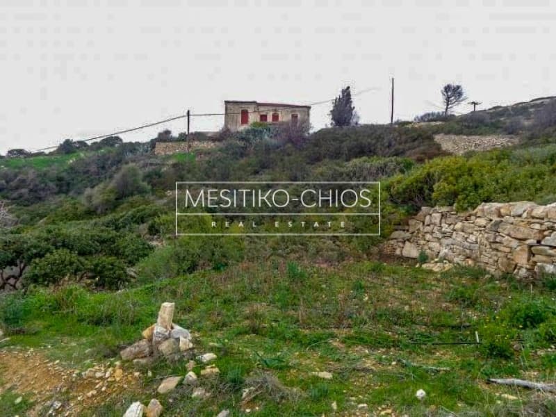 Οικόπεδο στην Ιωνία, Χίος — Φωτογραφία 5 από 7
