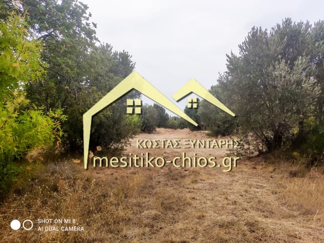 Building Plot in Agios Minas, Chios — Photo 22 of 25
