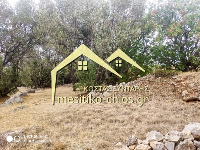 Building Plot in Agios Minas, Chios — Photo 24 of 25