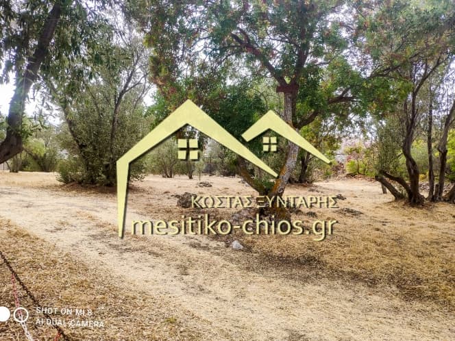 Building Plot in Agios Minas, Chios — Photo 5 of 25