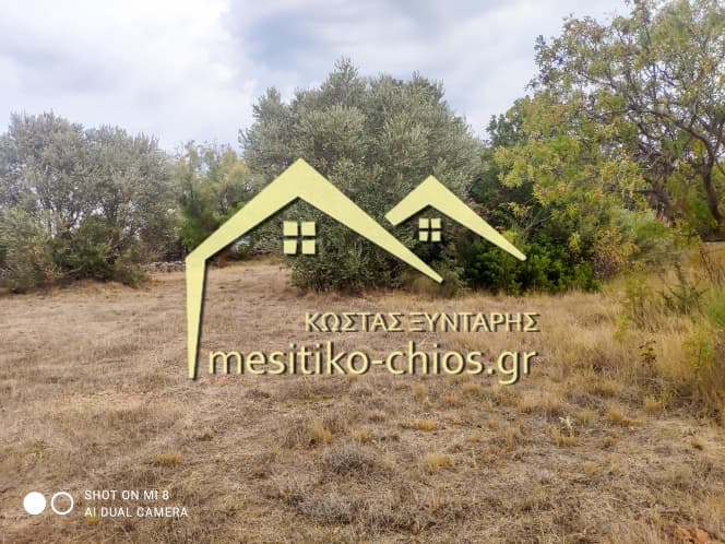 Building Plot in Agios Minas, Chios — Photo 19 of 25