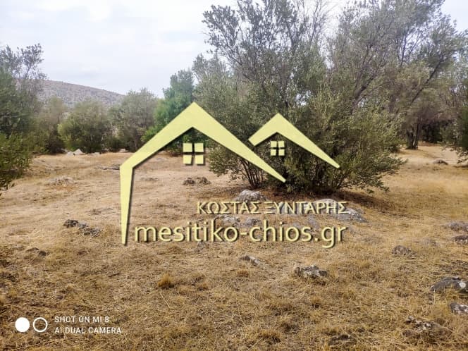 Building Plot in Agios Minas, Chios — Photo 25 of 25