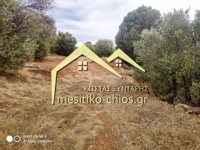 Building Plot in Agios Minas, Chios — Photo 17 of 25