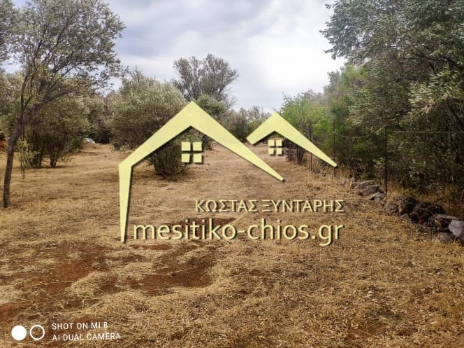 Building Plot in Agios Minas, Chios — Photo 13 of 25