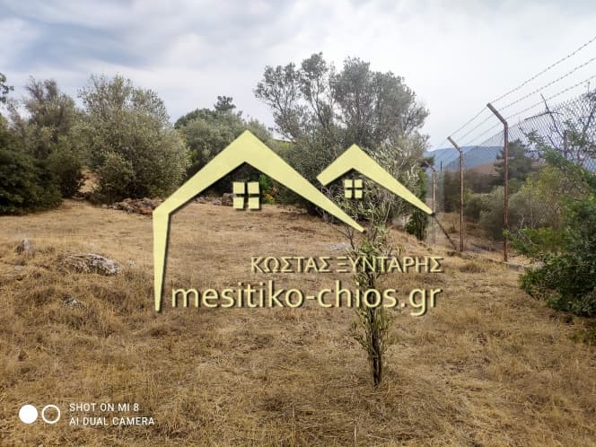 Building Plot in Agios Minas, Chios — Photo 2 of 25