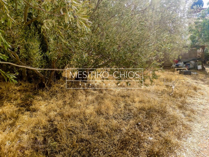 Building Plot in Agios Minas, Chios — Photo 14 of 15