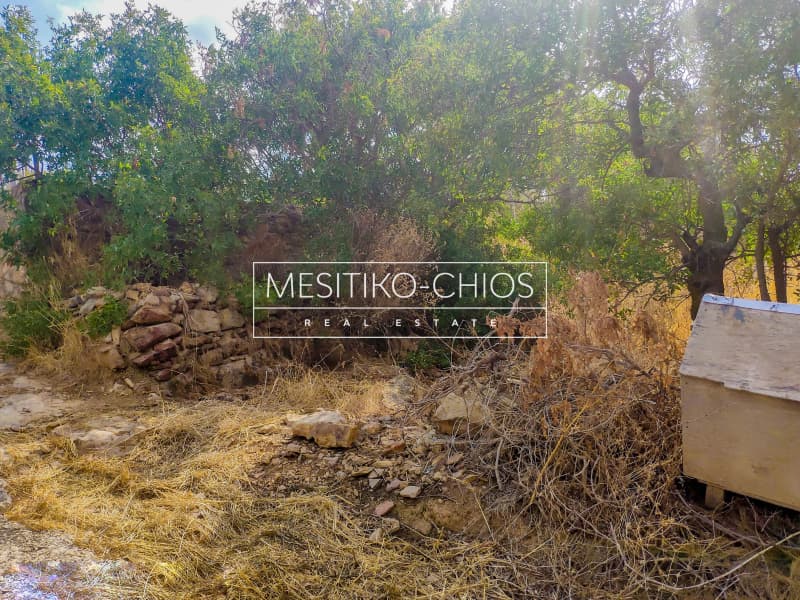 Building Plot in Agios Minas, Chios — Photo 8 of 15
