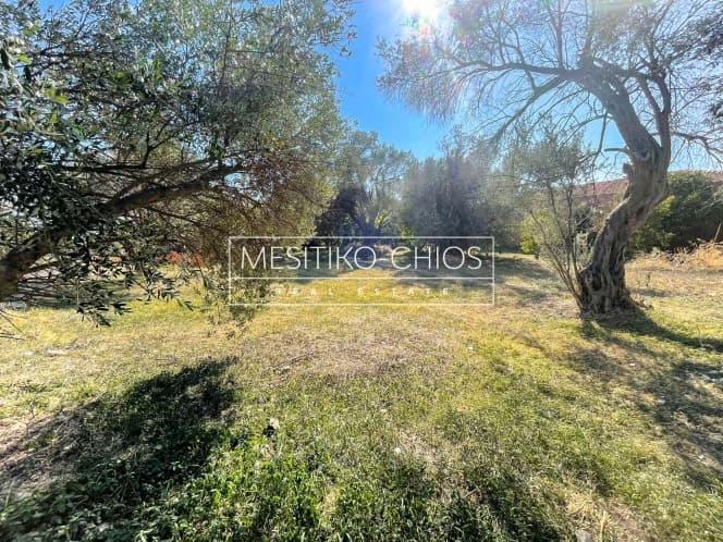 Building Plot in Agios Minas, Chios — Photo 4 of 21