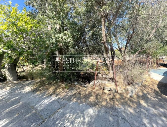 Building Plot in Agios Minas, Chios — Photo 20 of 21