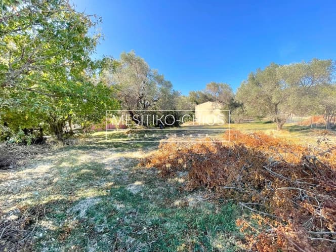 Building Plot in Agios Minas, Chios — Photo 7 of 21