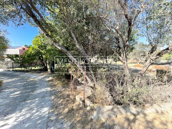 Building Plot in Agios Minas, Chios — Photo 13 of 21