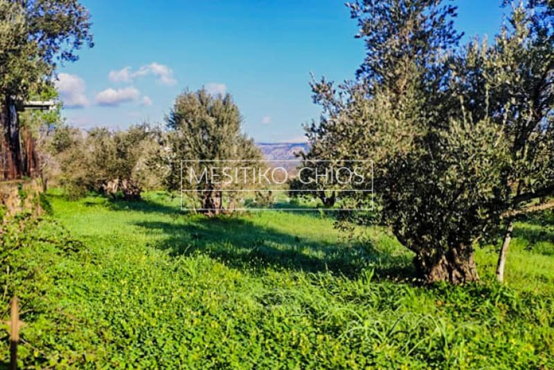 Building Plot in Agios Minas, Chios — Photo 2 of 7