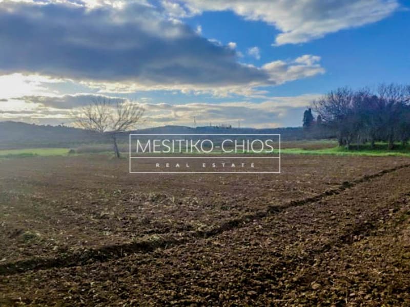 Building Plot in Agios Minas, Chios — Photo 9 of 13