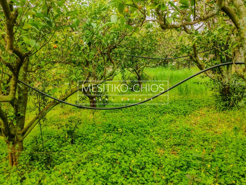 Building Plot in Kampochoria, Chios — Photo 9 of 12